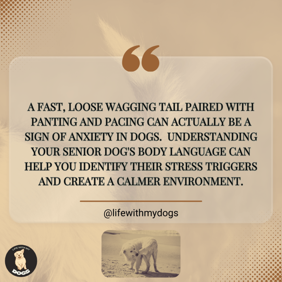 Curated visual reference: Curated Dog Restlessness Panting And Anxiety Gallery View 47
