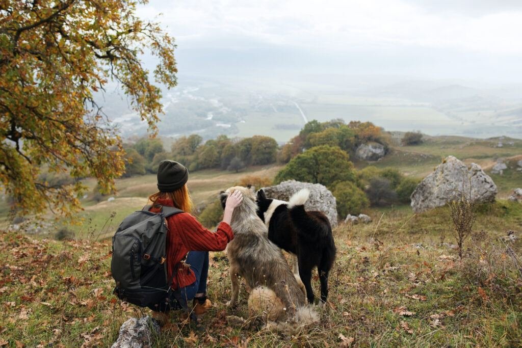 Exercise for Multi-Dog Households