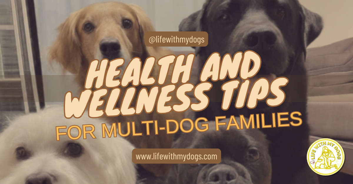 Health And Wellness Tips For Multi-Dog Families - Life With My Dogs