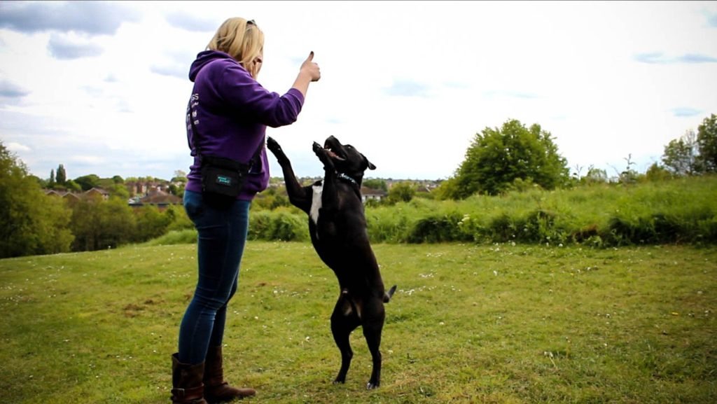 Daily Management and Care